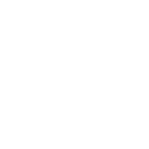 UN Emblem.png